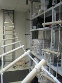 Лестница навесная хозяйственная «ЛНХ» 10 метров